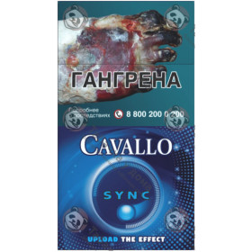 Cavallo Sync Cavallo Sync