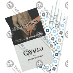 Cavallo by Gino Ferrara Cavallo by Gino Ferrara